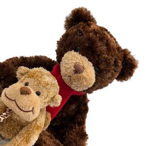 Gund Bradley The Border Bear Teddy Animal Adventure Monkey Fuzzy Furry Plush